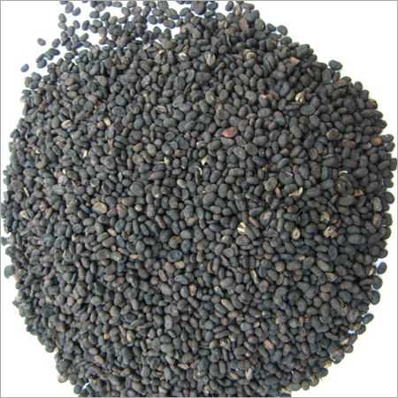 Black Cumin Seed Carrier Oil - Virgin